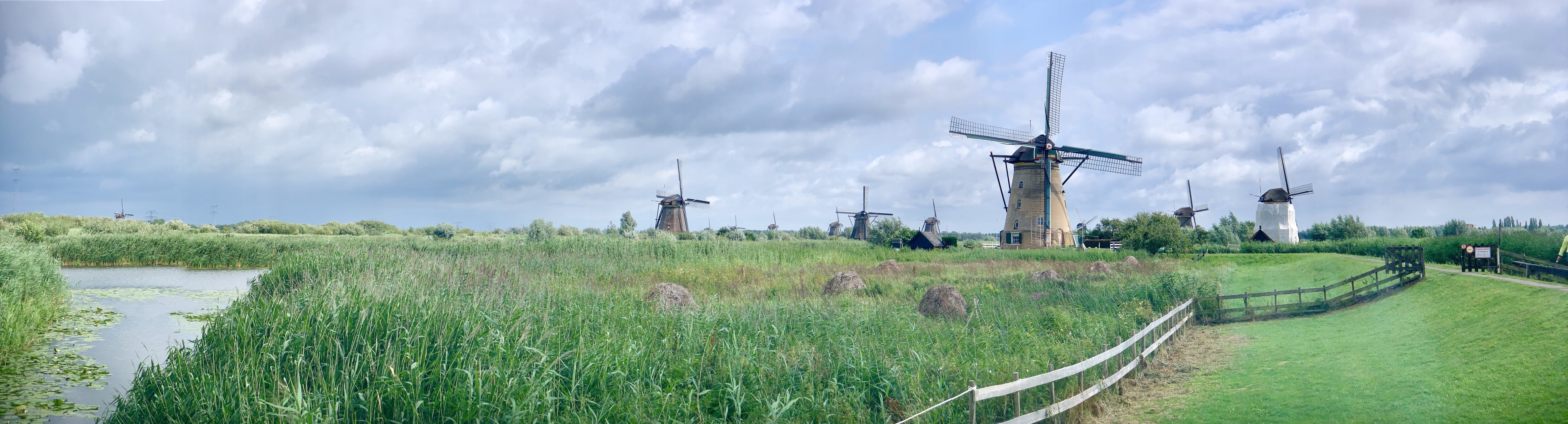 Holland and Belgium in Bloom