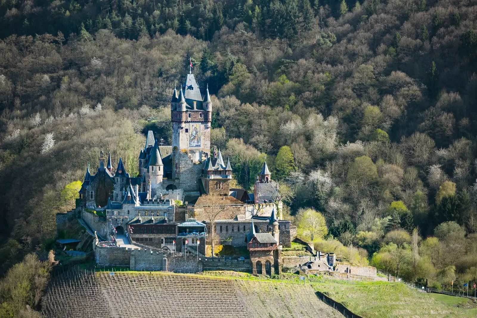 Drachenfels Summit